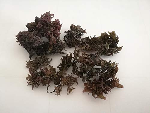 Red Seaweed,tosaka seaweed 100g(pack of 8) von Hello Seaweed