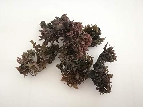 Rote Meerespflanze,algae seaweed,food grade 100g (pack of 6) von Hello Seaweed