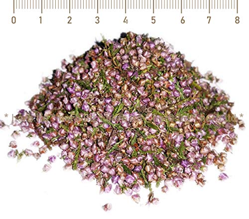 Besenheide, Tee, Calluna Vulgaris,Kräuter Blüten Mit Kräuter Stängel von Herb Ltd