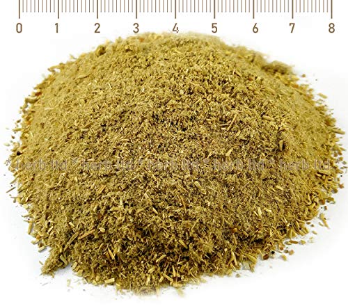 Bockshornklee, Trigonella Foenum-Graecum, Kräuter Stängel von Herb Ltd