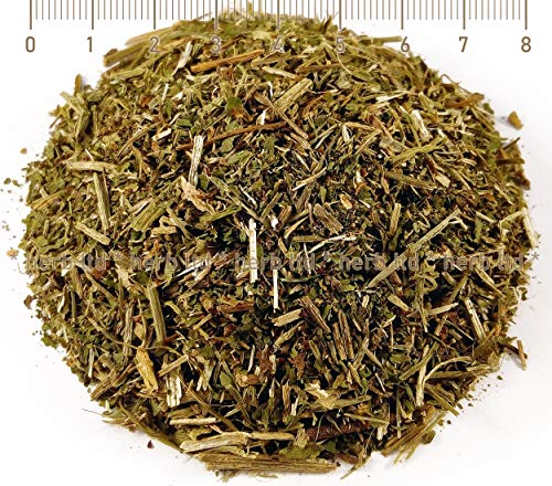 Brunnenkresse, Nasturtium Officinalis, Kräuter Stängel, Tee Wasserkresse Nasturtium officinale, Galsters Kräuter von Herb Ltd