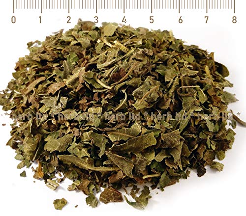 Feigen, Feigen Tee, Ficus Carica, Kräuter Blätter von Herb Ltd