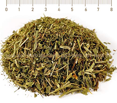 Frauenmantel Tee, Alchemilla Vulgaris L., Kräuter Stängel von Herb Ltd