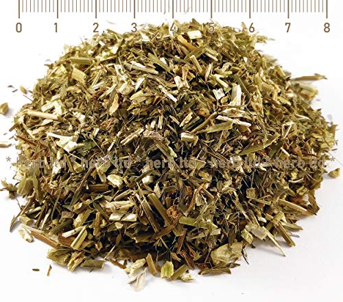 Geißraute Kraut, Geißrautenkraut Tee, Galega Officinalis (Leguminosae, Fabaceae), Kräuter Stängel von Herb Ltd