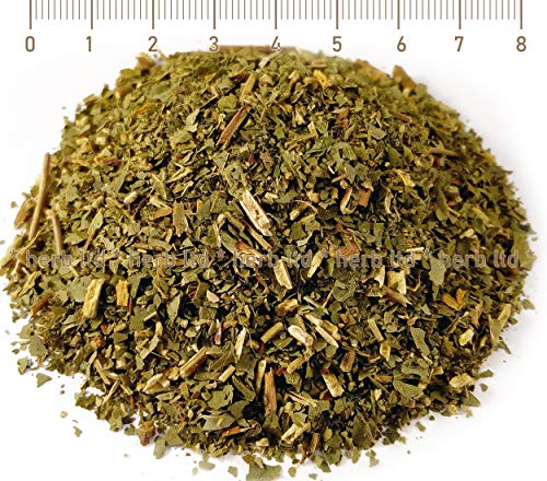 Gemeine Esche, Fraxinus Excelsior L., Kräuter, Geschnittene Blätter von Herb Ltd