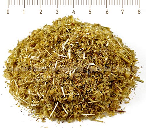 Gemeine Schafgarbe Kräutertee, Achillea Millefolium L., Kräuter Stängel von Herb Ltd