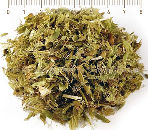 Griechischer Bergtee, Sideritis Scardica, Kräuter Stängel von Herb Ltd