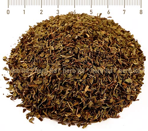 Grüner Minze Tee, Mentha Spicata, Kräuter Blätter von Herb Ltd