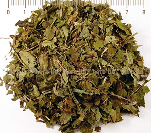 Heidelbeere-Schwarze, Vaccinium Myrtillus, Kräuter Blätter von Herb Ltd