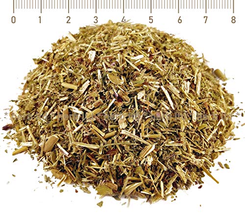 Kleinblatiges Weidenroschen Kraut, Weidenröschenkraut, Epilobium Parviflorum, Kräuter Stängel von Herb Ltd