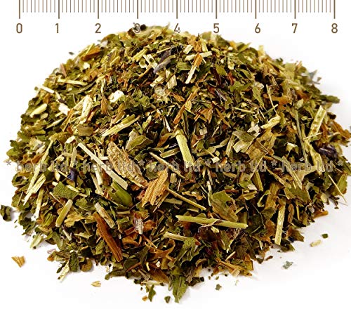 Kreuz-Enzian, Kreuzenzian, Gentiana Cruciata L., Kräuter Stängel von Herb Ltd