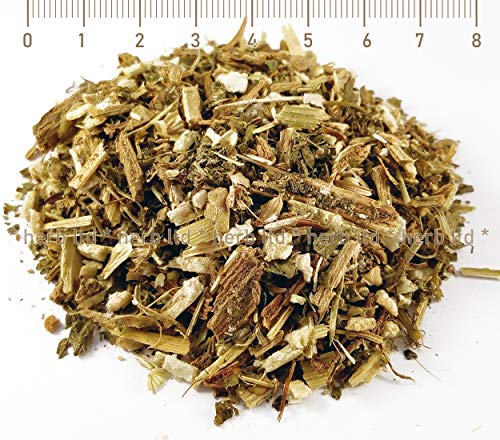 Liebstöckel, Levisticum Officinale L, Kräuter Stängel von Herb Ltd
