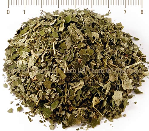 Linden Kräutertee, Tilia Cordata, Kräuter Blätter von Herb Ltd