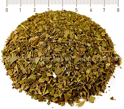 Mate Tee Strauch, Grun, Ilex Paraguariensis, Kräuter Blätter von Herb Ltd