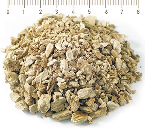 Meerrettich, Geschnittene Wurzel, Armoracia Rusticana, Kräuter Wurzel von Herb Ltd