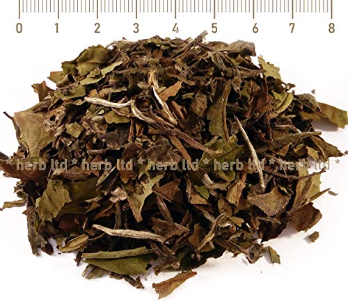 Oolong Tee, Weißen Flaumigen, Bio, Blatt, Oolong Tee, Camelia Sinensis, Kräuter Blätter von Herb Ltd