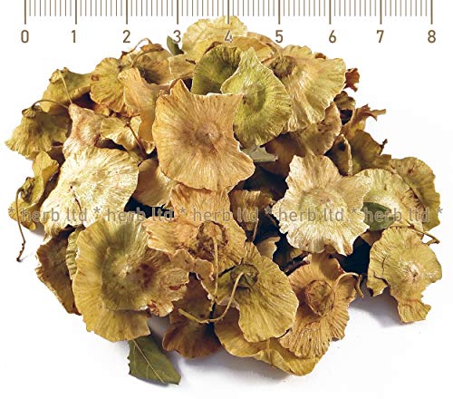 Paliurus Hemsleyanus, Semente, Paliurus Spina-Christi, Kräuter Frucht von Herb Ltd