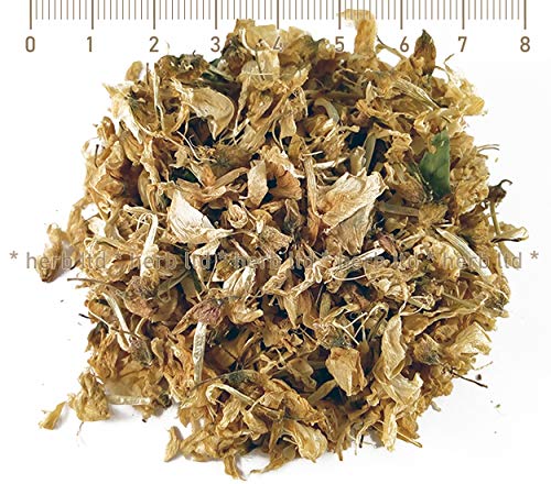 Robinie, Robinia Pseudoacacia, Weiße Robinie, Falsche Akazie, Scheinakazie, Gemeiner Kräuter Blüten von Herb Ltd