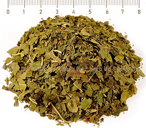 Schwarze Maulbeere, Morus Nigra L., Kräuter Blätter von Herb Ltd