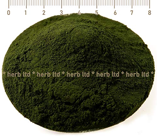 Spirulina Pulver Bio, Blaualgen, Arthrospira Platensis, Blue-Green Algae (Algae) von Herb Ltd