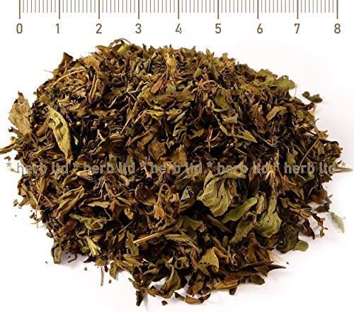 Stevia Blatter – Tee, Stevia Blätter, Stevia Rebaudiana, Kräuter Blätter von Herb Ltd
