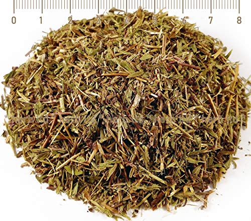 Thymian, Thymian-Tee, Thymus Serpyllum, Kräuter Stängel von Herb Ltd