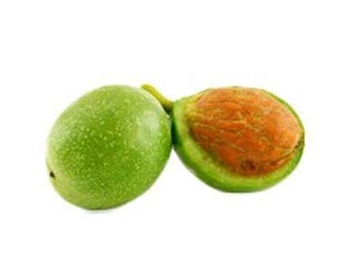 Walnuss – Grüne Walnussschale, Júglans Régia, Kräuter Frucht von Herb Ltd