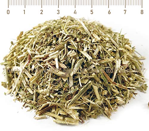 Wegwarten, Wegwarten Tee, Wegwarten-Seidenblume, Cichorium Intybus., Kräuter Stängel von Herb Ltd