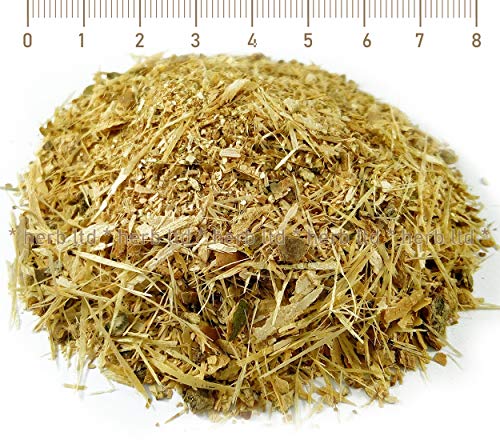 Weiße Pappelknospen Tee, Populus Alba, Kräuter Rinde von Herb Ltd