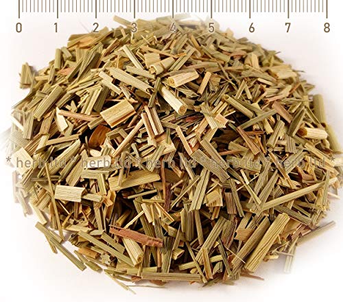 Zitronengrass Tee, Cymbopogon Flexuosus, Kräuter Stängel von Herb Ltd