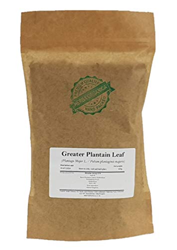 Breitwegerich Blatt/Plantago Major L/Greater Plantain Leaf # Herba Organica # Große Wegerich, Breitblättriger Wegerich (100g) von Herba Organica