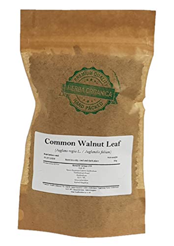 Echte Walnuss Blatt / Juglans Regia L / Common Walnut Leaf # Herba Organica # Walnussbaum, Baumnuss, Welschnuss (50g) von Herba Organica
