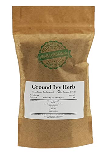 Gundermann Kraut / Glechoma Hederacea L / Ground Ivy Herb # Herba Organica # Echt-Gundelrebe, Gundelrebe, Erdefeu (50g) von Herba Organica