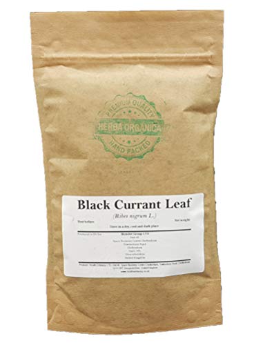 Herba Organica - Schwarze Johannisbeere Blatt - Ribes Nigrum L - Black Currant Leaf - Schwarze Ribisel (100g) von Herba Organica