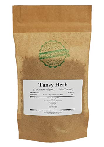 Rainfarn Kraut / Tanacetum Vulgare L / Tansy Herb # Hebra Organica # Wurmkraut, Drefot, Drusenkrud (50g) von Herba Organica