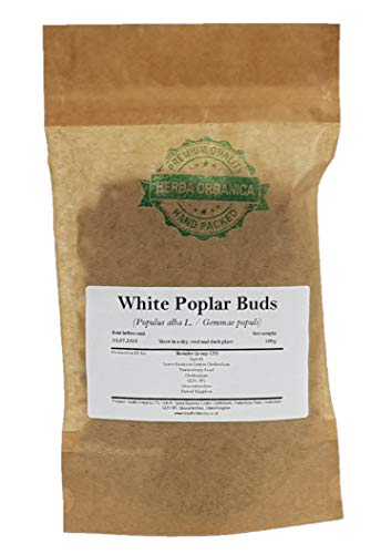 Weiße Pappelknospen/Populus Alba L/White Poplar Buds # Herba Organica # Silber-Pappel Knospen (100g) von Herba Organica