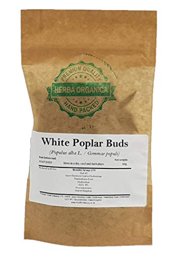 Weiße Pappelknospen / Populus Alba L / White Poplar Buds # Herba Organica # Silber-Pappel Knospen (50g) von Herba Organica