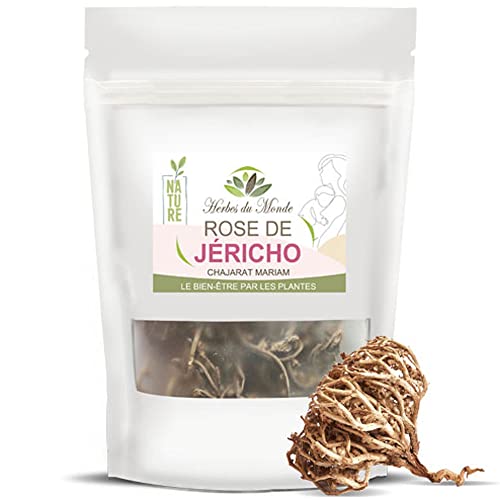 Herbes du Monde - Rose von Jericho 25g Minimum: Chajarat Mariam für Fruchtbarkeit, Anastatica Hierochuntica, Menstruationsbeschwerden lindern, Erleichterte Geburt, Diuretikum, Natürlich - 1 Beutel von Herbes du Monde