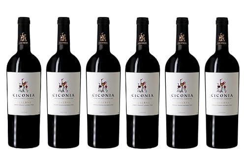 6x 0,75l - 2022er - Herdade de São Miguel - Ciconia - Reserva - Vinho Regional Alentejano - Portugal - Rotwein trocken von Herdade de São Miguel