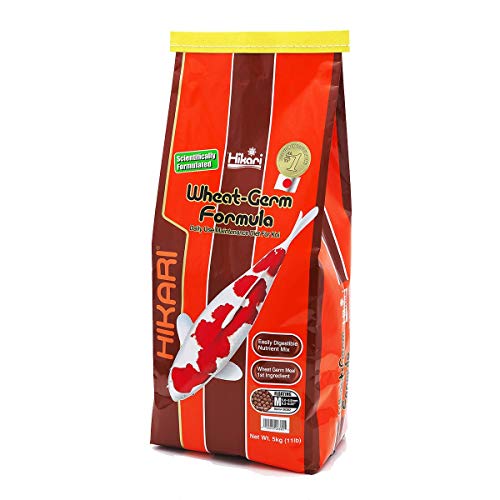 Hikari Koifutter Wheat Germ medium 5 kg Hikari Koifutter Wheat Germ medium 5 kg von Hikari