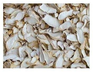 Austernpilze getrocknet 280 Gramm von Himalayas Mushroom & Truffles