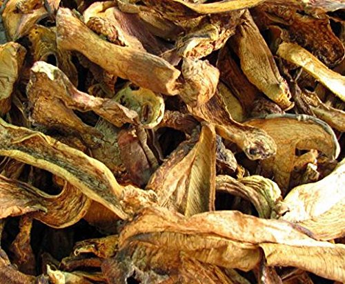 Boletus luteus Pilze getrocknet 1200 Gramm, Grad A gelb steinpilze von Himalayas Mushroom & Truffles