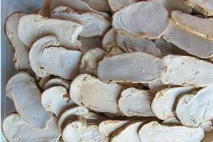 Gefriergetrocknete matsutake Scheiben 300 Gramm von Himalayas Mushroom & Truffles