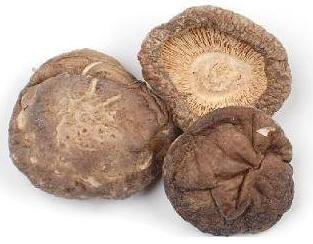 Getrocknete Shiitake-Pilz 290 Gramm von Himalayas Mushroom & Truffles