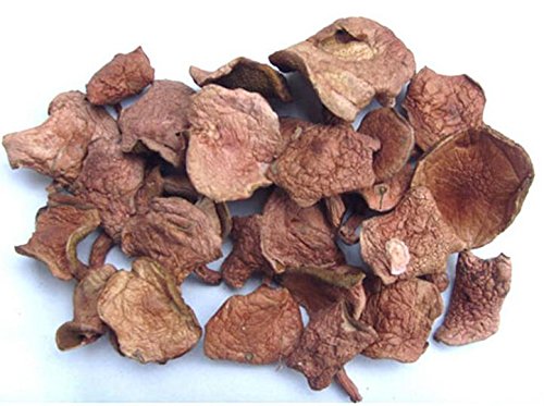 Köstliche suillus bovinus pilze 5000 Gramm getrocknete, Grad A von Himalayas Mushroom & Truffles