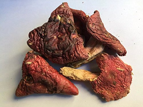 Normal grade rot Pilz Russula Getrocknet 320 Gramm von JOHNLEEMUSHROOM