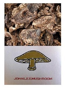 Sarcodon aspratus Pilz getrocknet 2500 Gramm von Himalayas Mushroom & Truffles