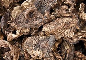 Sarcodon aspratus Pilz getrocknet 290 Gramm von Himalayas Mushroom & Truffles