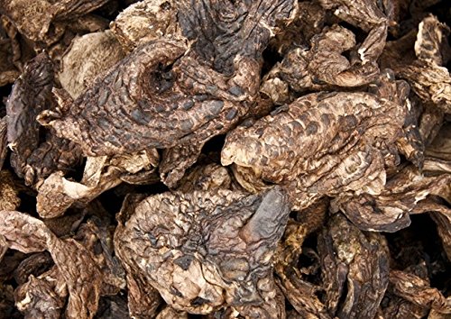 Sarcodon aspratus Pilz getrocknet 300 Gramm von Himalayas Mushroom & Truffles