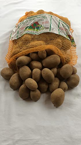 5 kg Belana festkochend gelbfleischig, deutsche Ernte, gelbe Schale 5 kg Belana festkochend gelbfleischig, deutsche Ernte, gelbe Schale von Hof-Burmeister